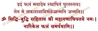 Narikela Samarpan Mantra in Hindi