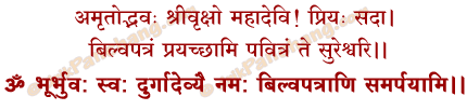Bilvapatra Mantra in Hindi