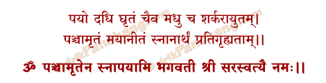 Saraswati Panchamrita Snana Mantra in Hindi